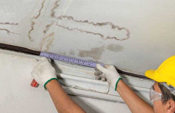 Reliable Water Damage Repair contractor in New Bern, NC by Local Water Damage Repair
